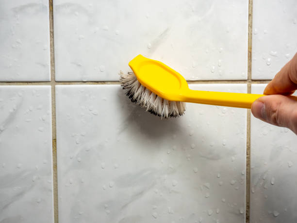 Best Best Mold Removal Companies  in Rincon, GA