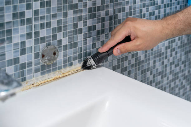 Best Toxic Mold Removal  in Rincon, GA