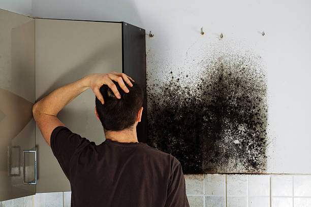 Best Office Mold Removal Services  in Rincon, GA